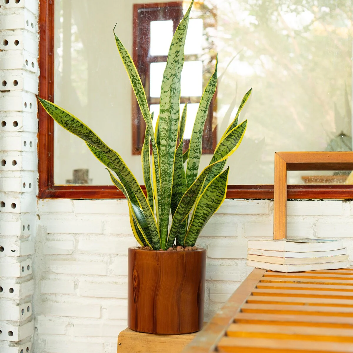 7.8 inch Plastic Self-watering Planter Pot