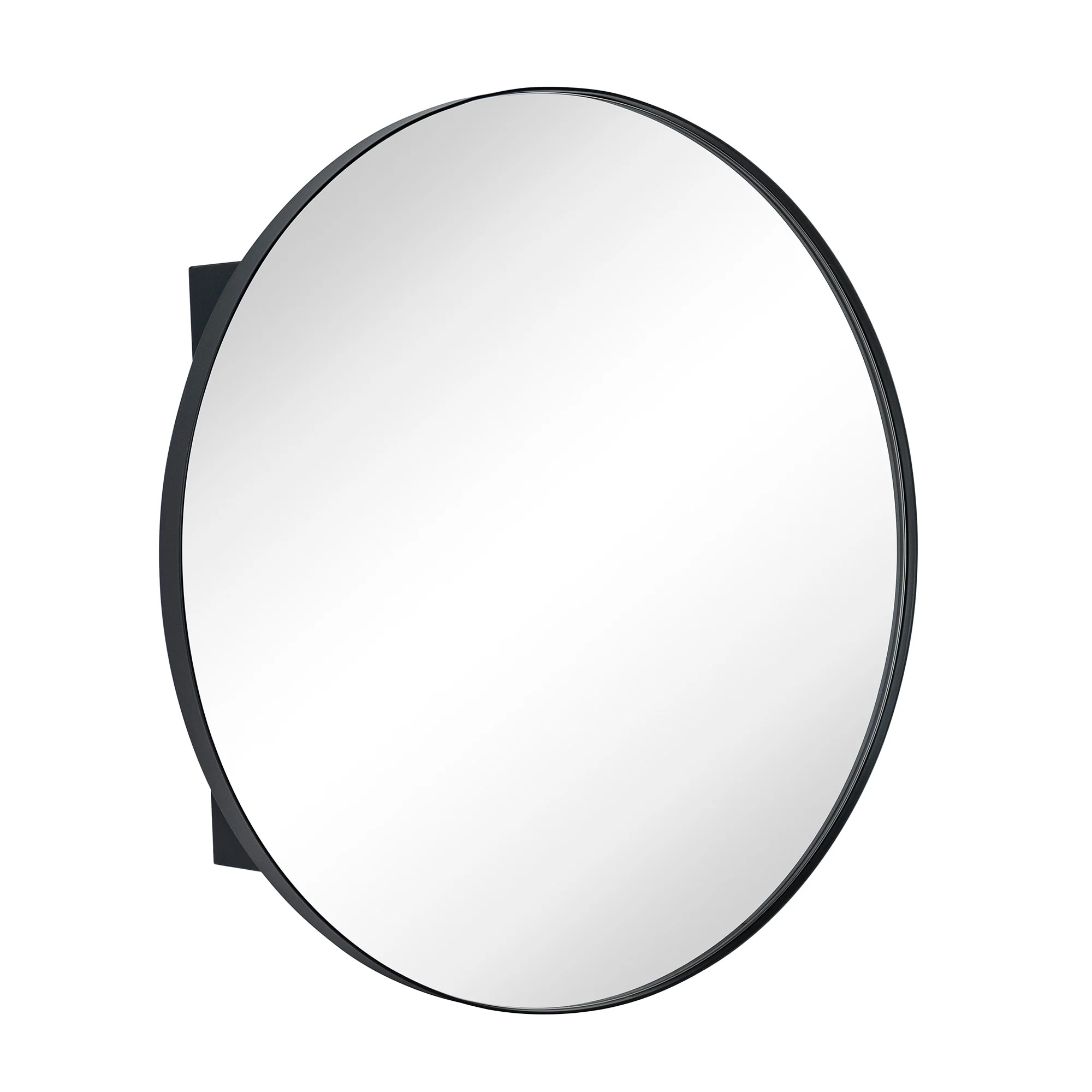 TEHOME Myriel Surface Mount Framed Round Medicine Cabinet with Mirror