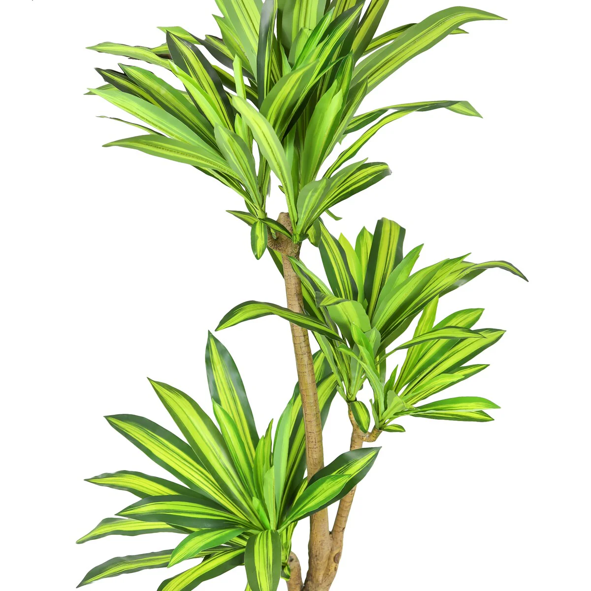 6ft Real Touch Artificial Dracaena Tree Plant in Black Pot - 72