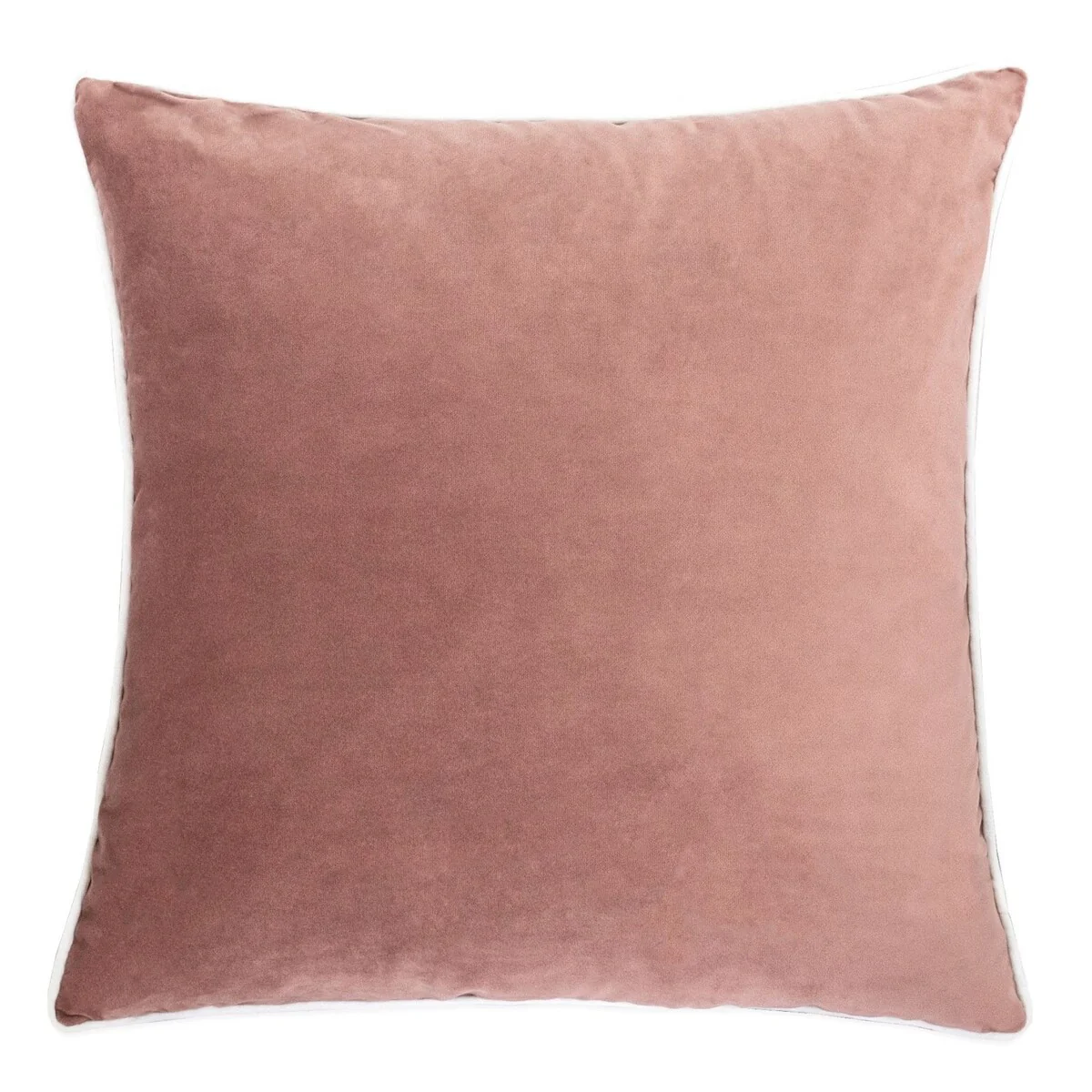 Homey Cozy Velvet Solid Throw Pillow Cover & Insert - Set of 2