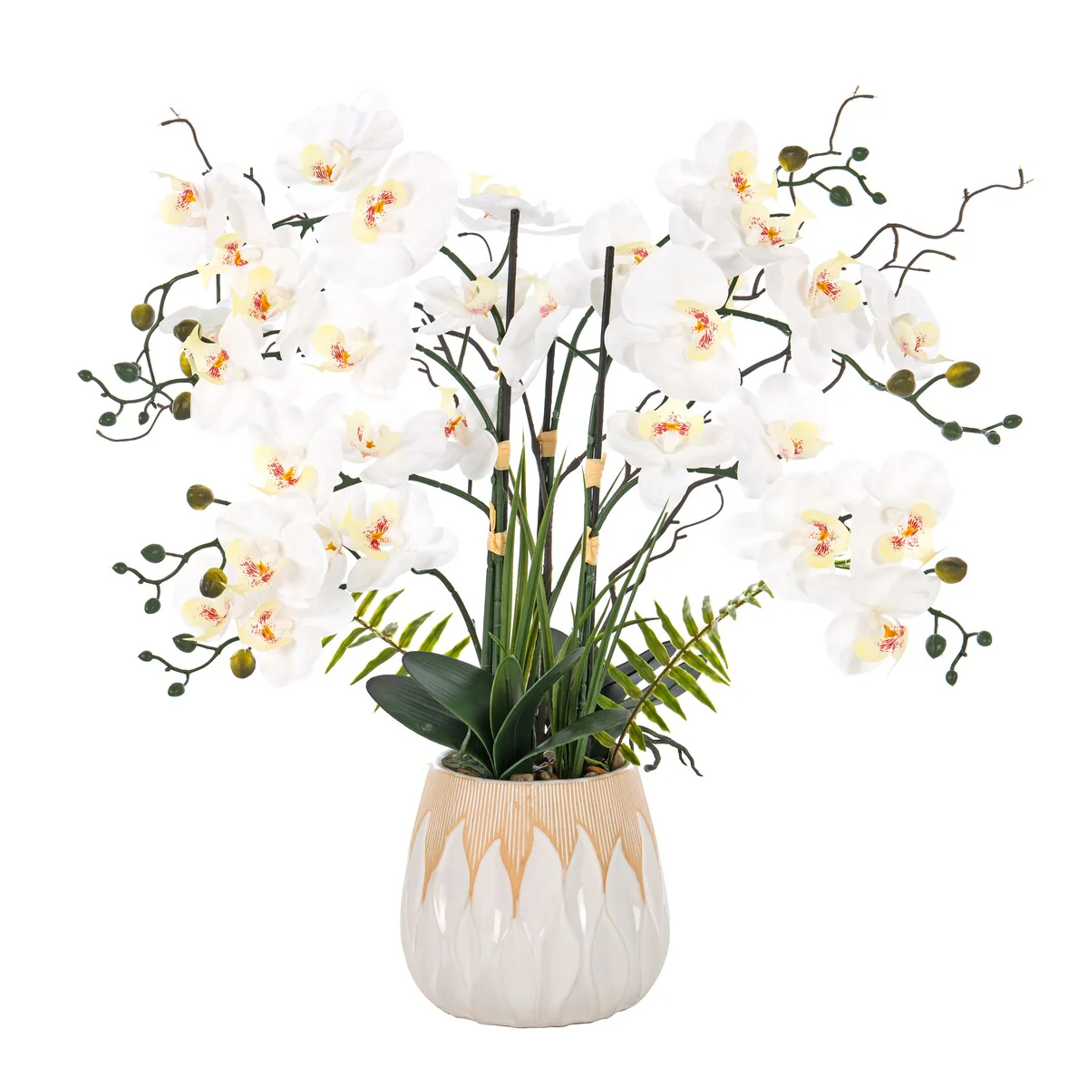 7 Stems Real Touch Phalaenopsis Plastic Orchids with Green Leaf in White Ceramic Pot - 32.28