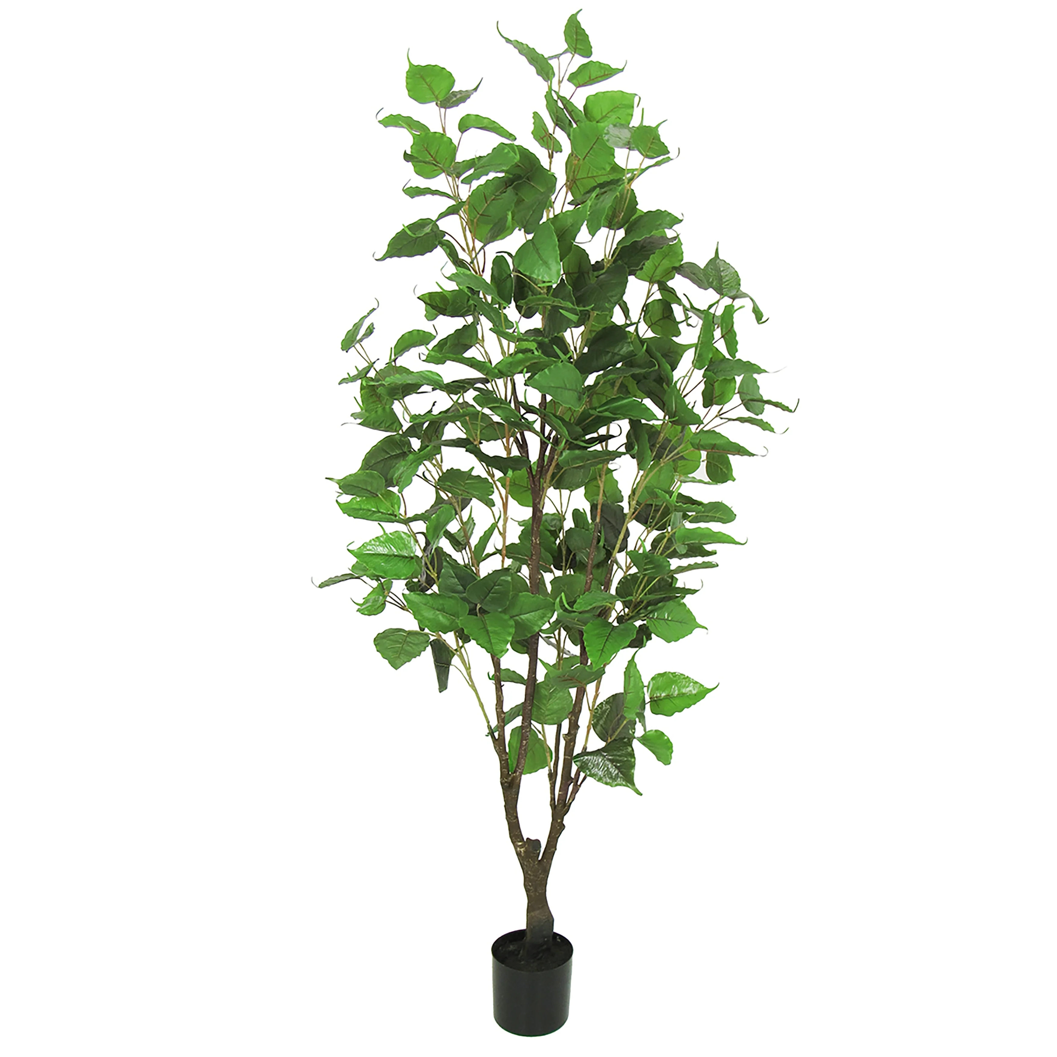 5.5ft Artificial Birch Tree Plant in Black Pot - 66