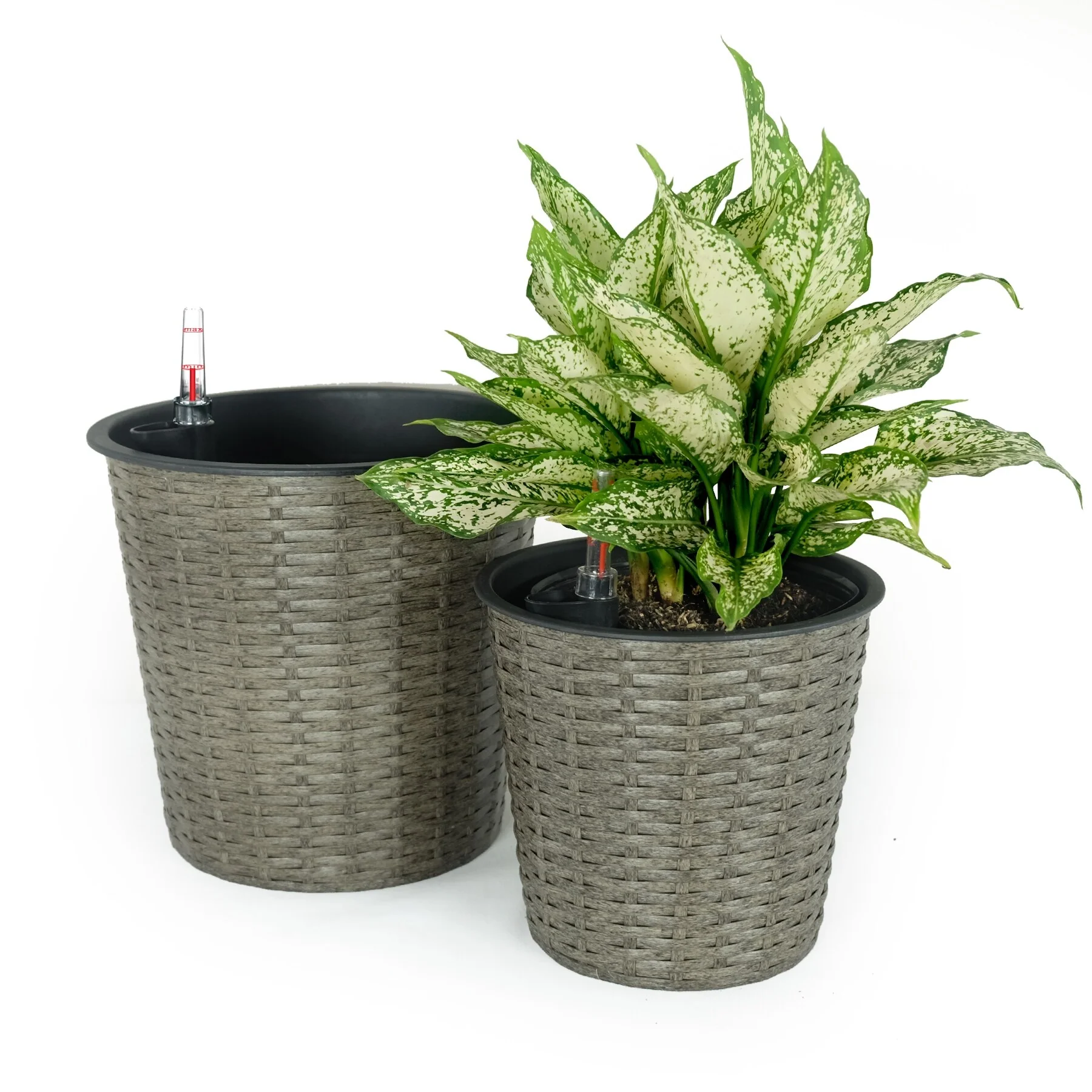 DTY Signature 2-Pack Self-watering Wicker Decor Planter for Indoor and Outdoor - Round