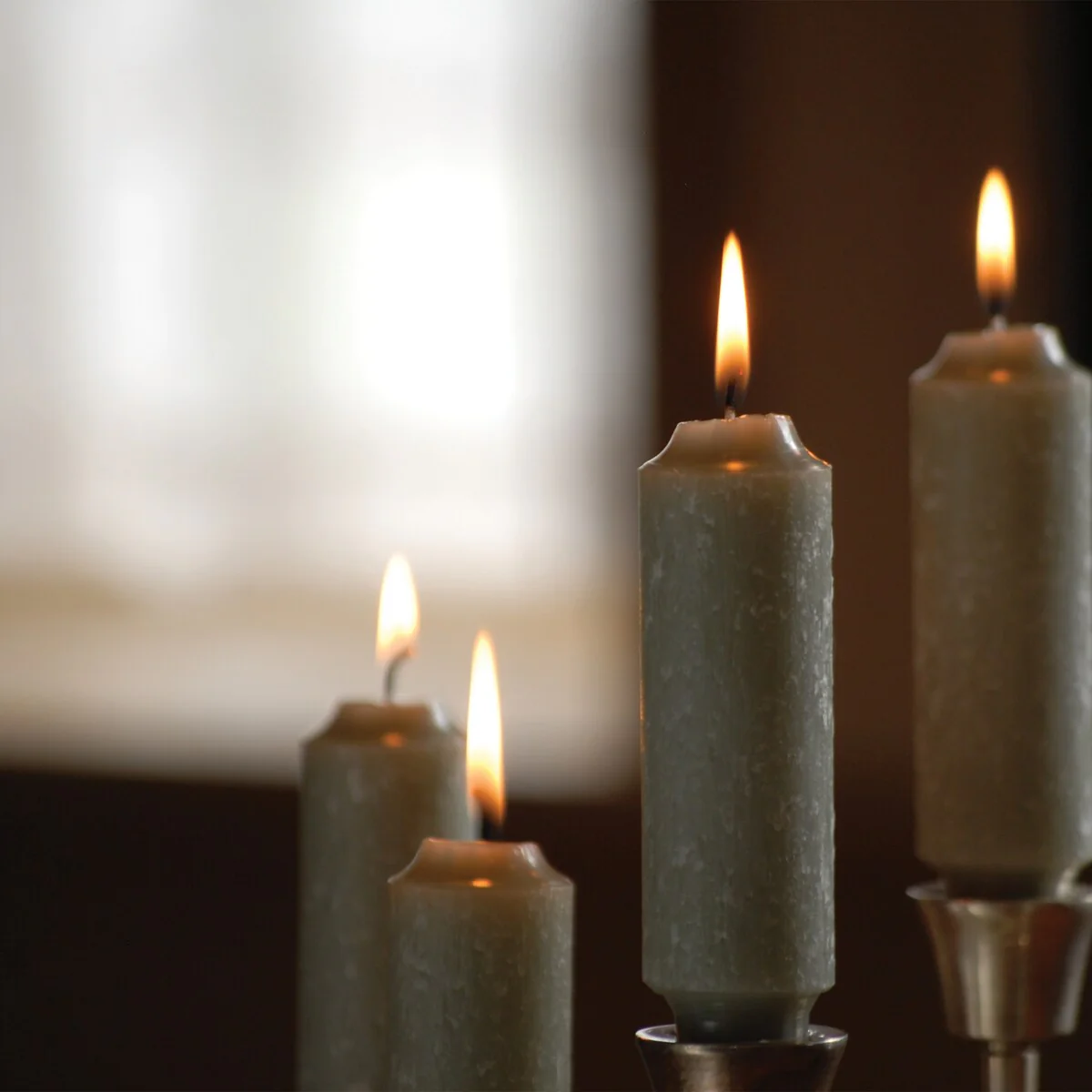 Root Unscented 5 In. Timberline™ Collenette Taper Candles box of 8 - 5 X 1-1/4