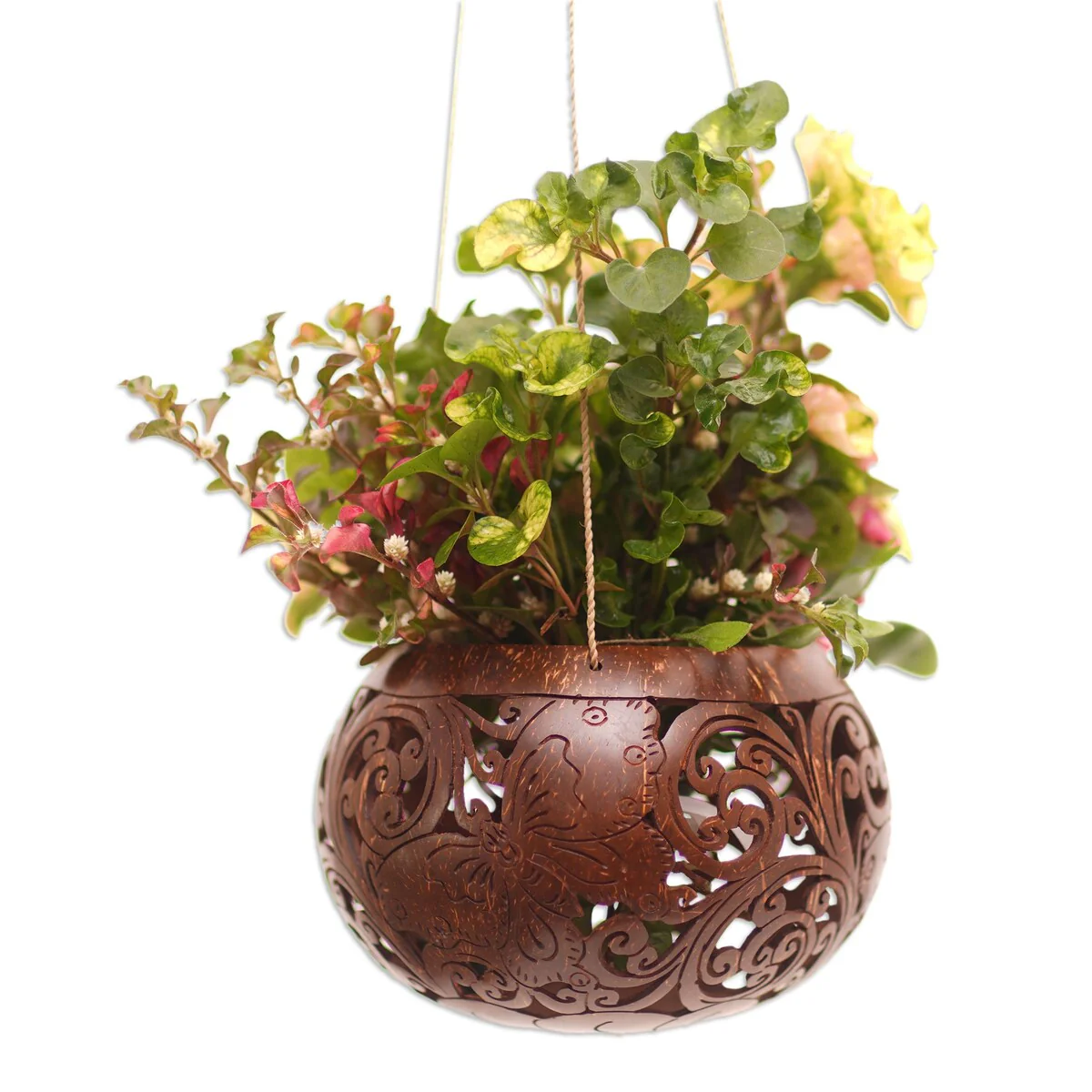 Novica Handmade Tropical House In Butterfly Coconut Shell Hanging Planter