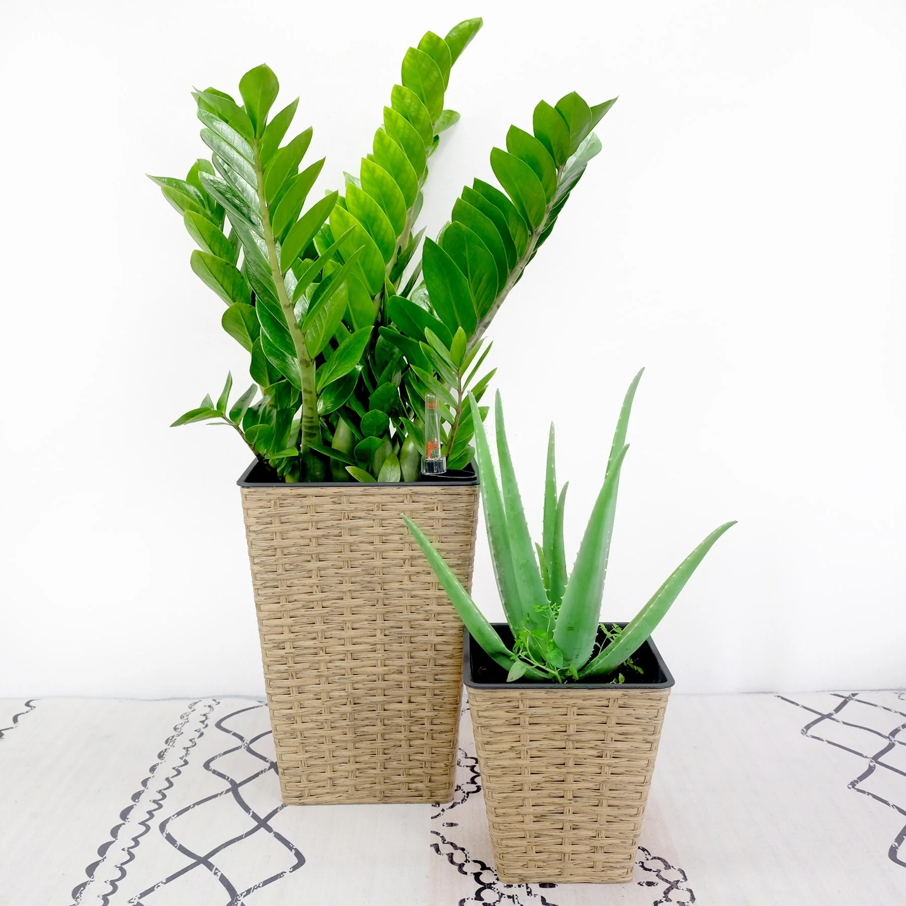 DTY Signature Square Wicker Planters