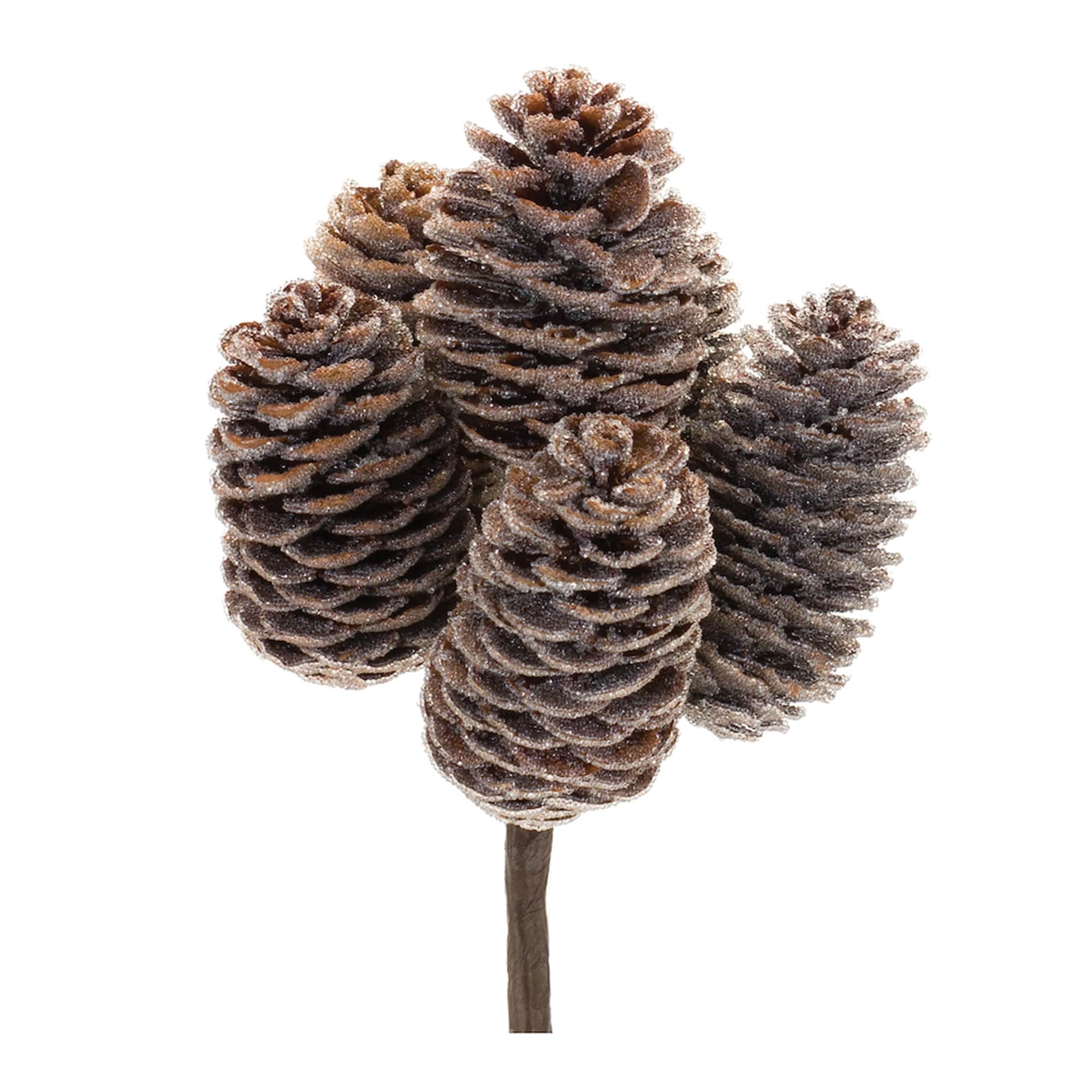 Pine Cone Bundle (Set of 12) - Brown