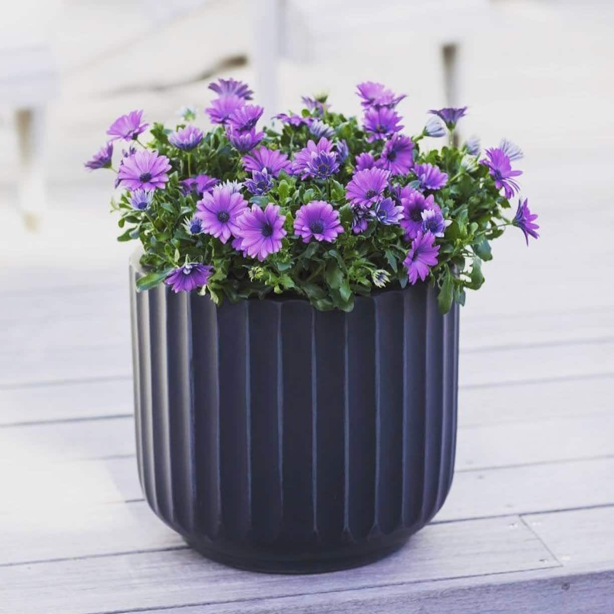 DreamPatio Garland Fiberstone Planter