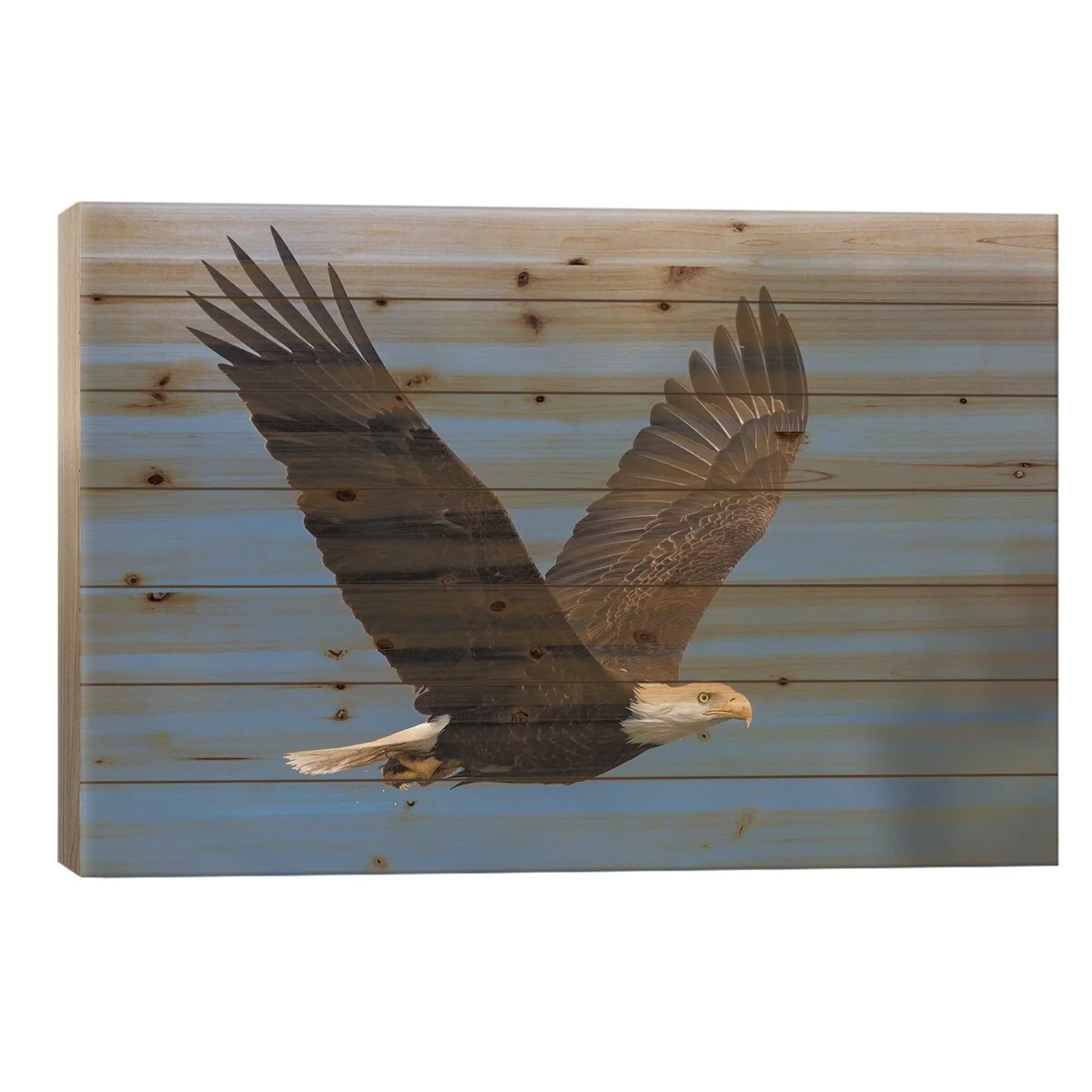 Bald Eagle I Print On Wood by Ken Archer - Multi-Color