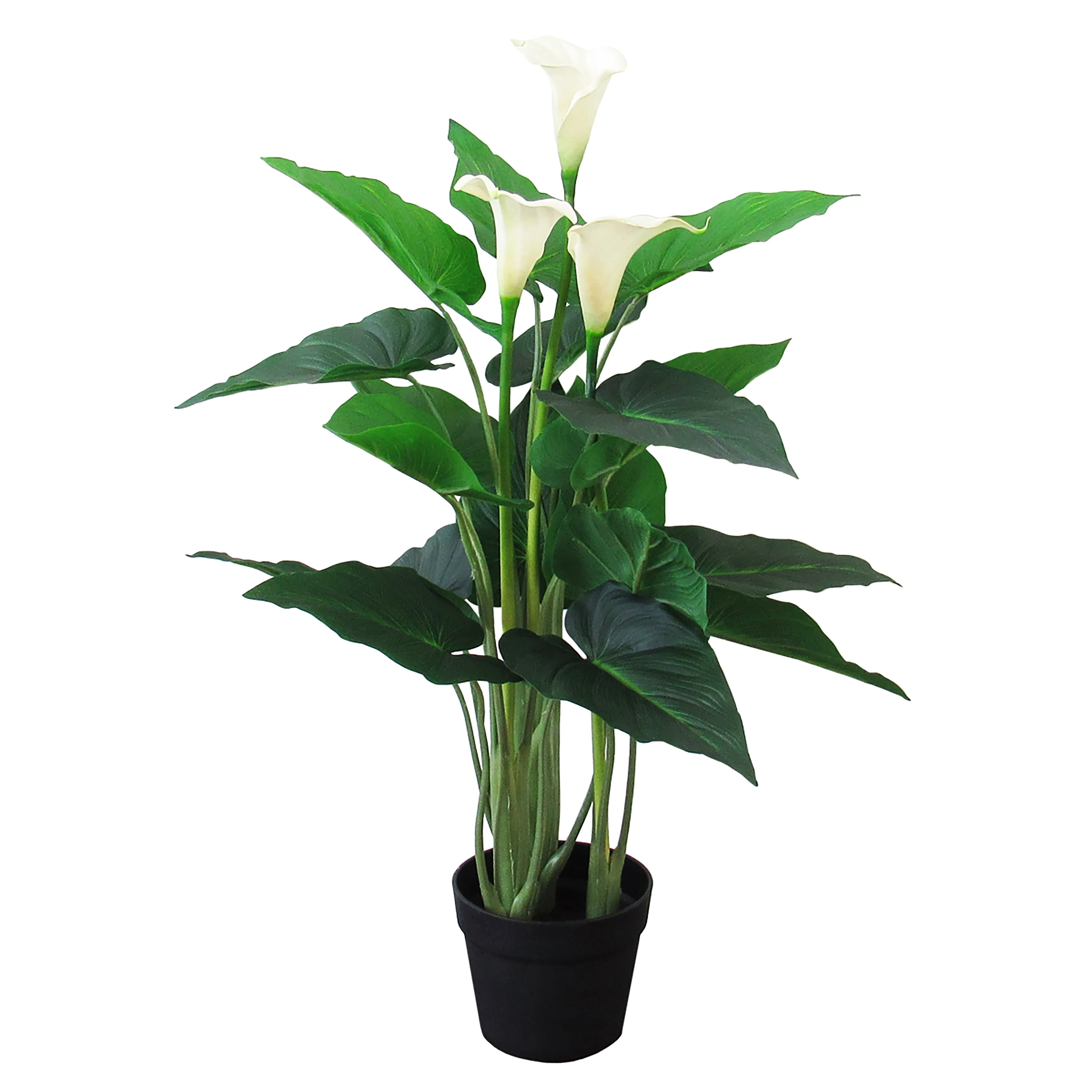 31in Real Touch White Artificial Calla Lily Flowering Plant in Black Pot - 31