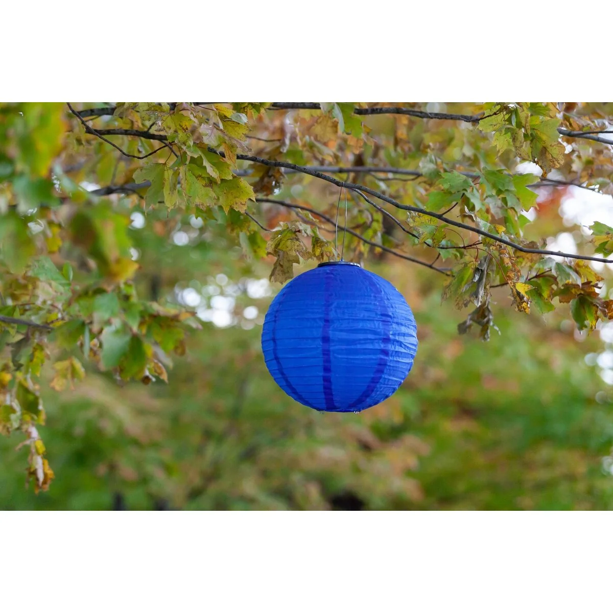 Soji Globe Festival - Cerulean Blue