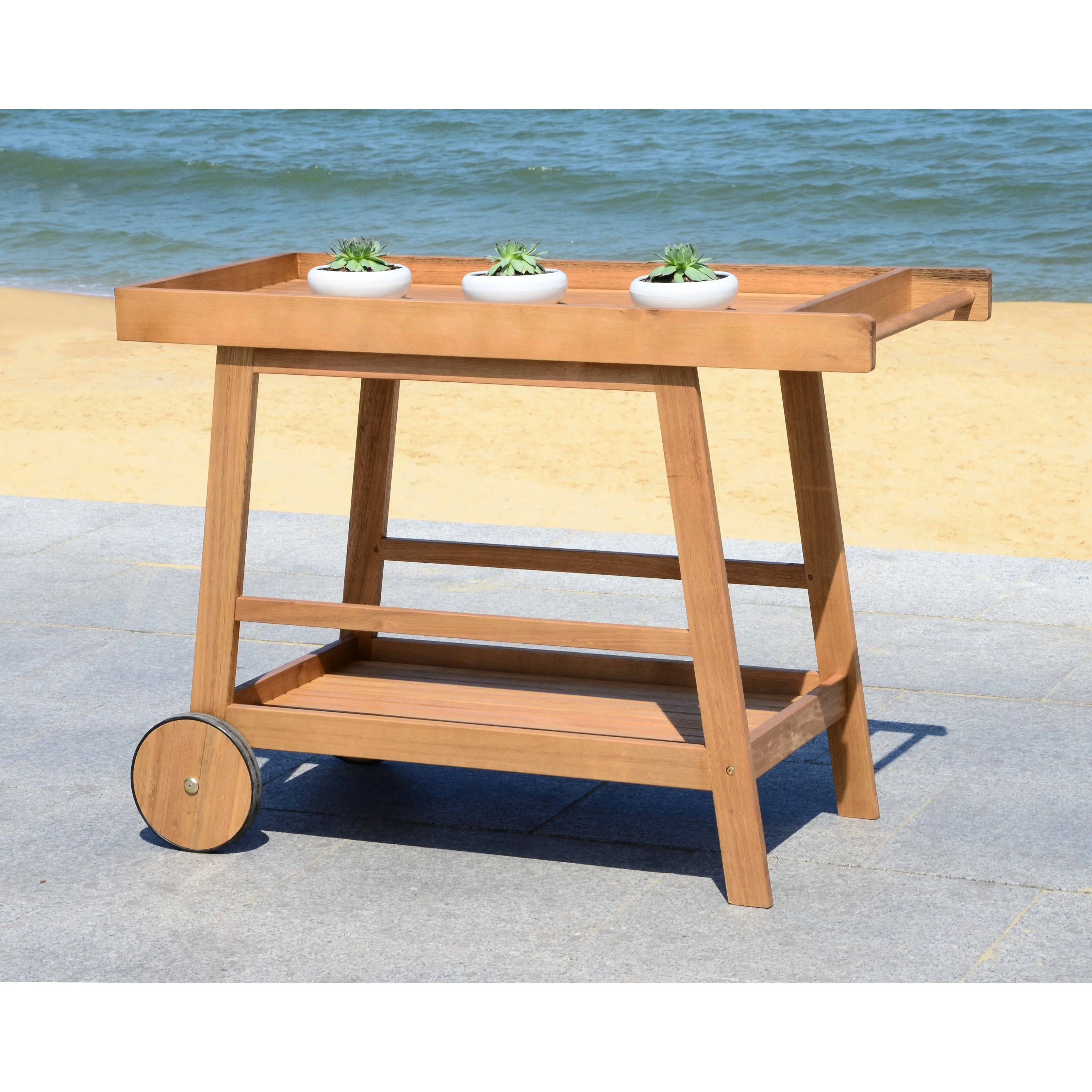 SAFAVIEH Outdoor Hayleigh Bar Cart - 48Wx20Dx32H