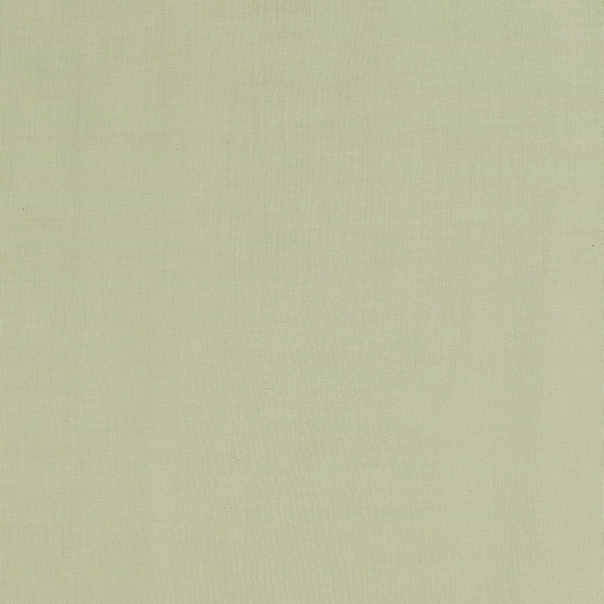 Archaeo Cotton Sheer Curtain, Single Panel