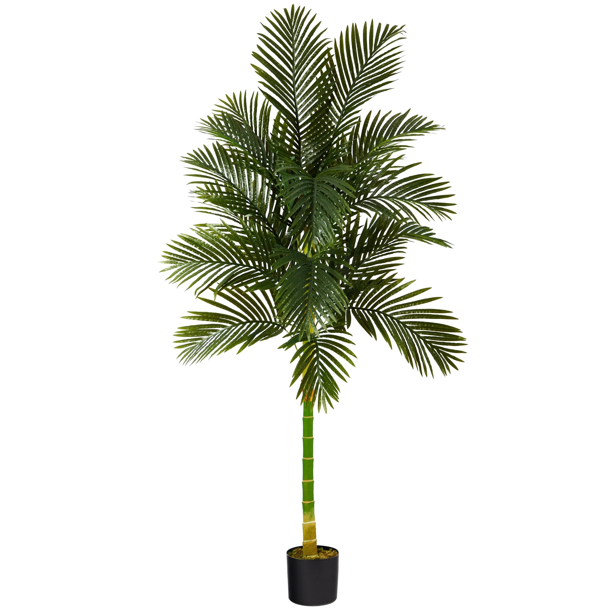 7' Golden Cane Artificial Palm Tree - 6