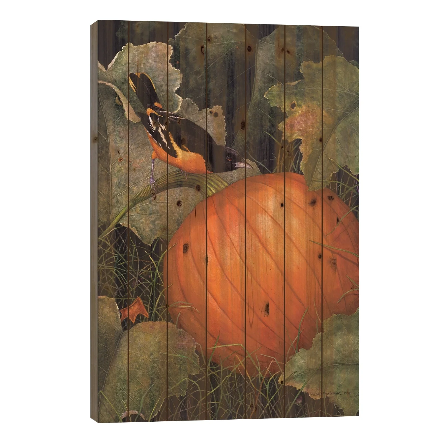 Oriole & Pumpkin Print On Wood by Marcia Matcham - Multi-Color
