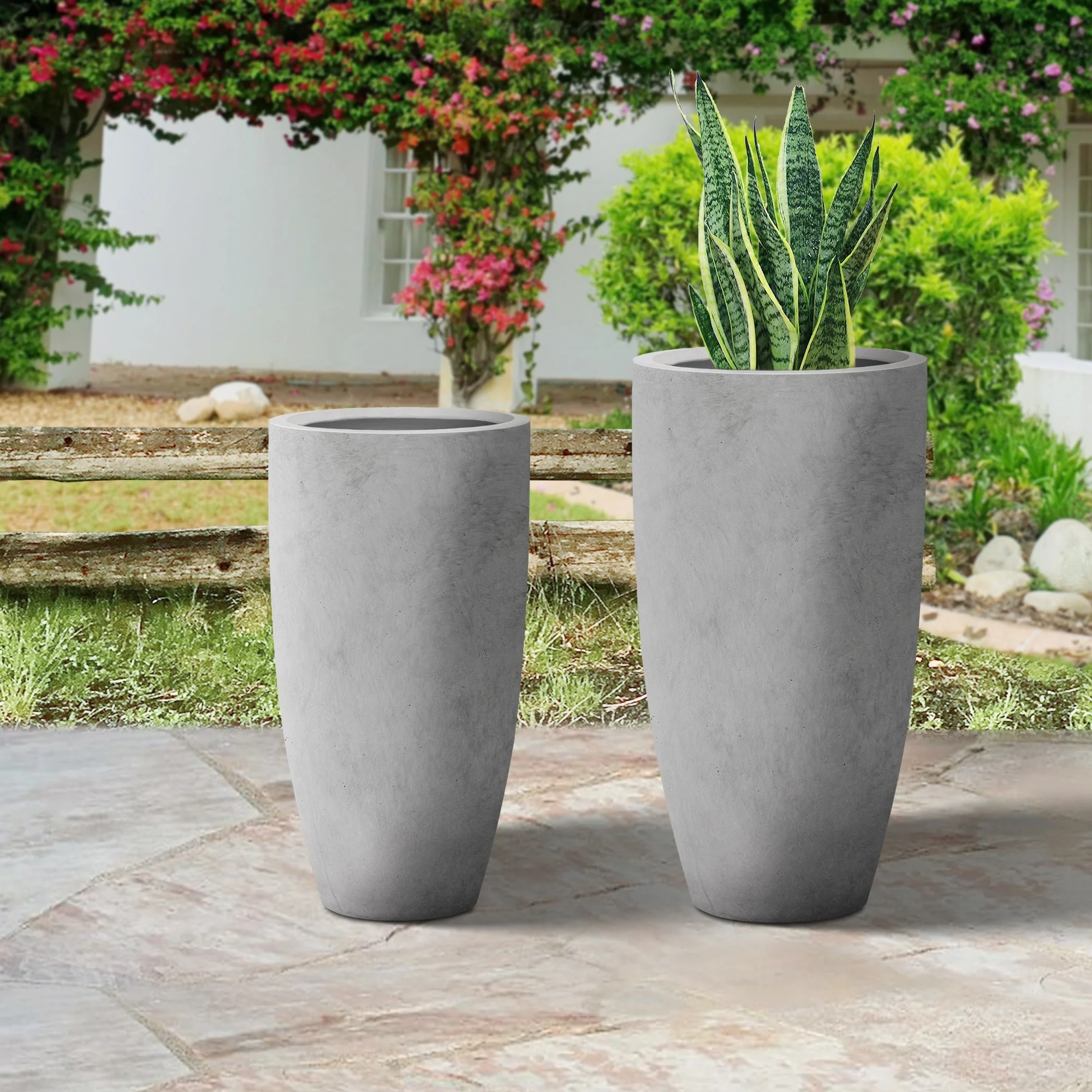 Plantara 32