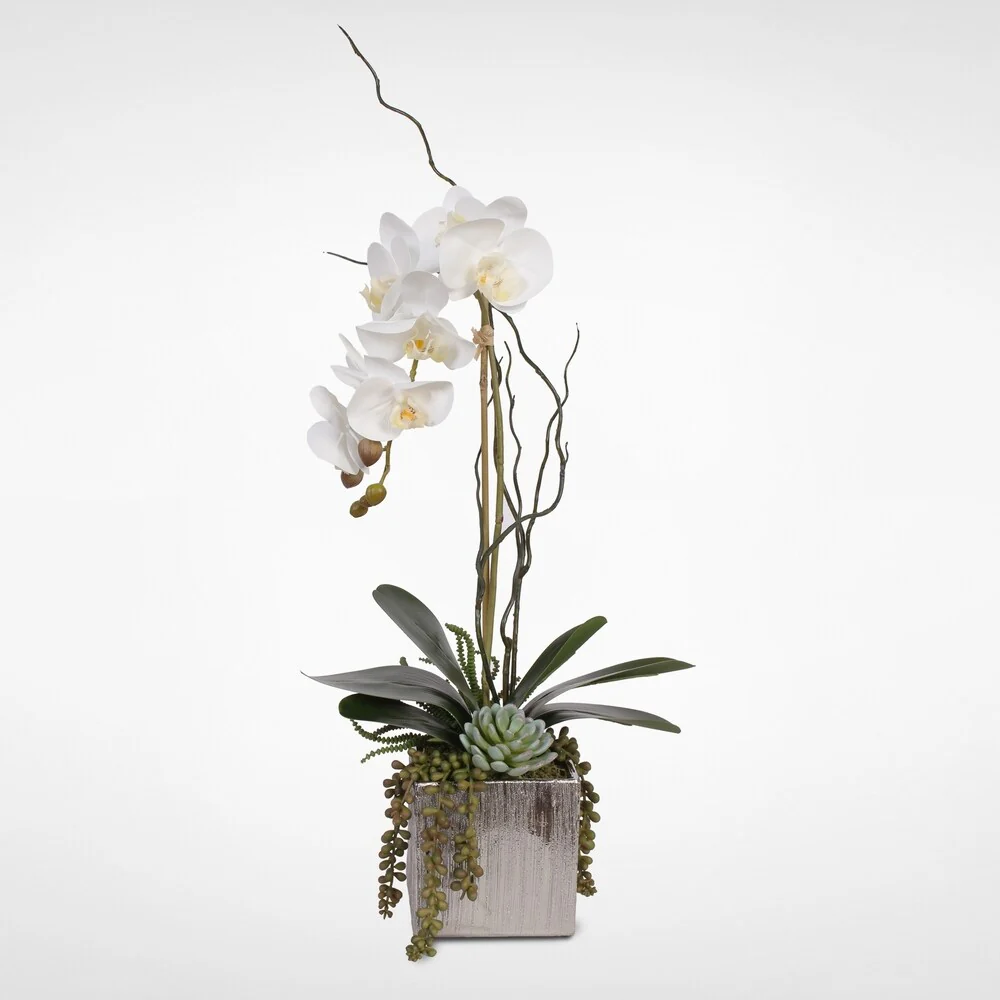 Real Touch White Orchid with Succulents in a Silver Ceramic Pot