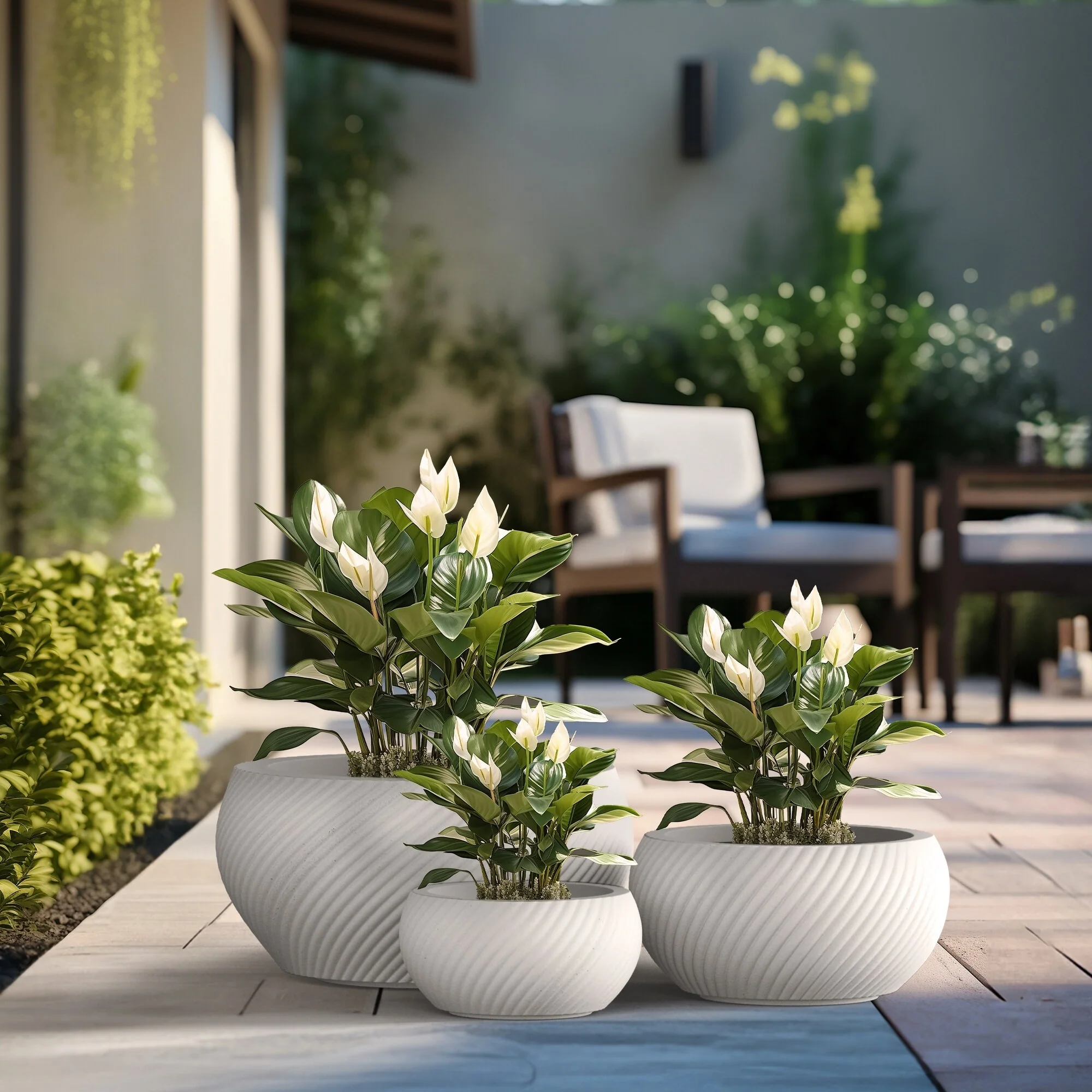 Textured Concrete Round Plant Pots / Large Indoor and Outdoor flower Planters