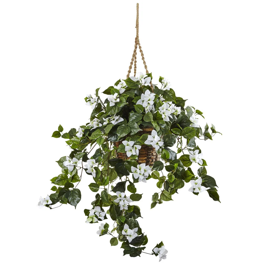 Bougainvillea 28-inch Hanging Basket