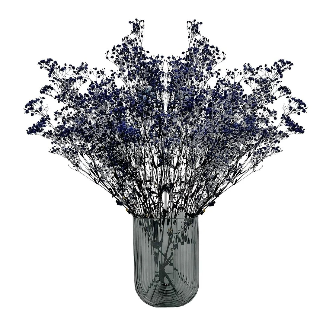 Bundle of 4 Preserved Gypsophila, Baby's Breath,24