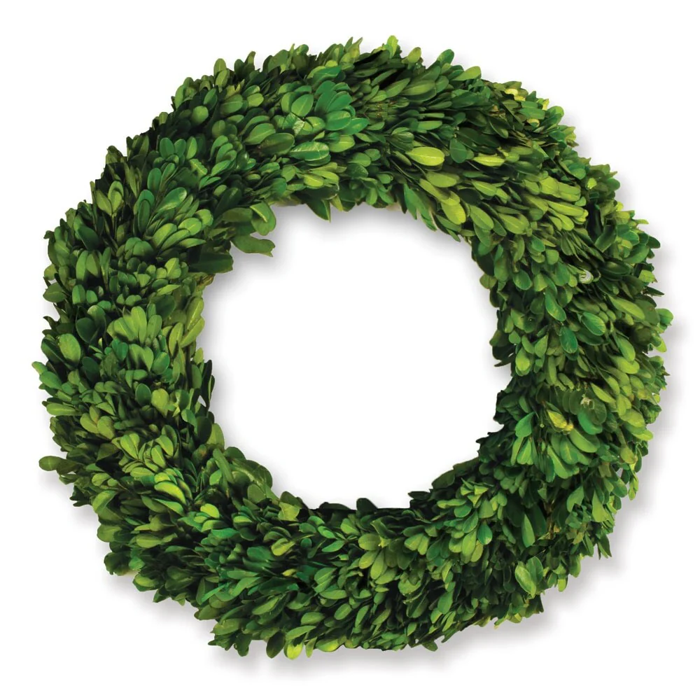 Boxwood Wreath 12