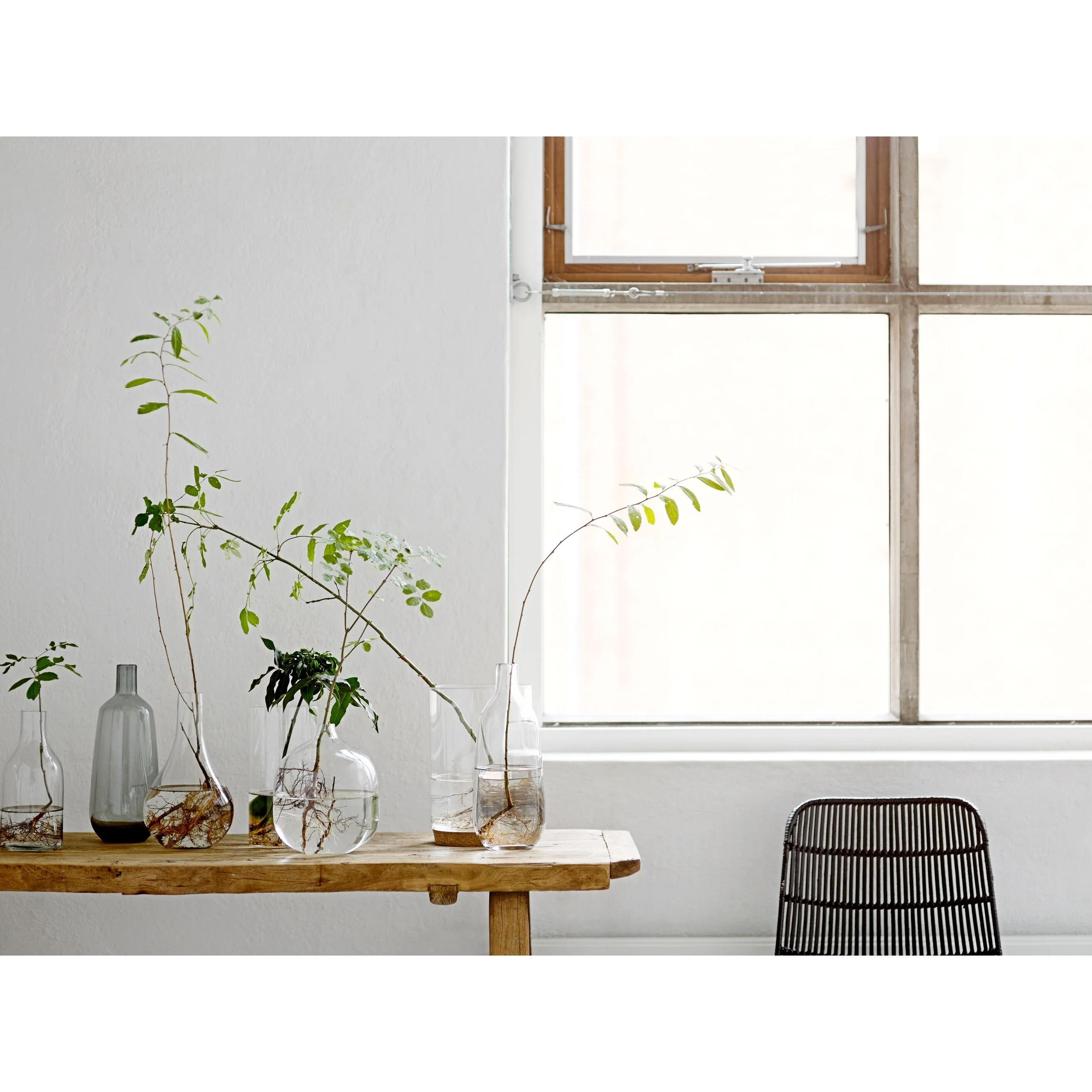 Tinted Glass Vase