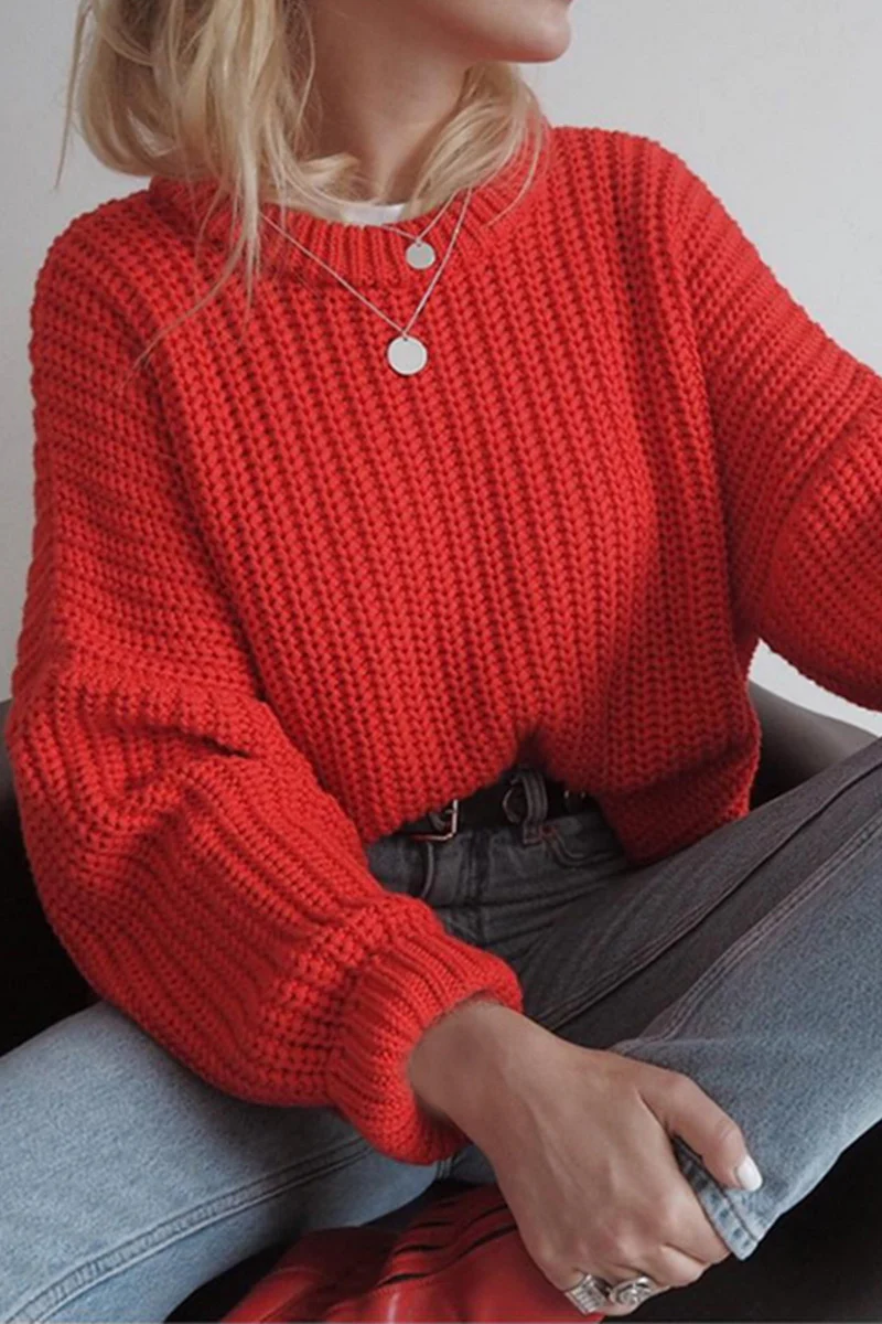Casual Solid O Neck Sweaters(5 Colors) - Deanwangkt