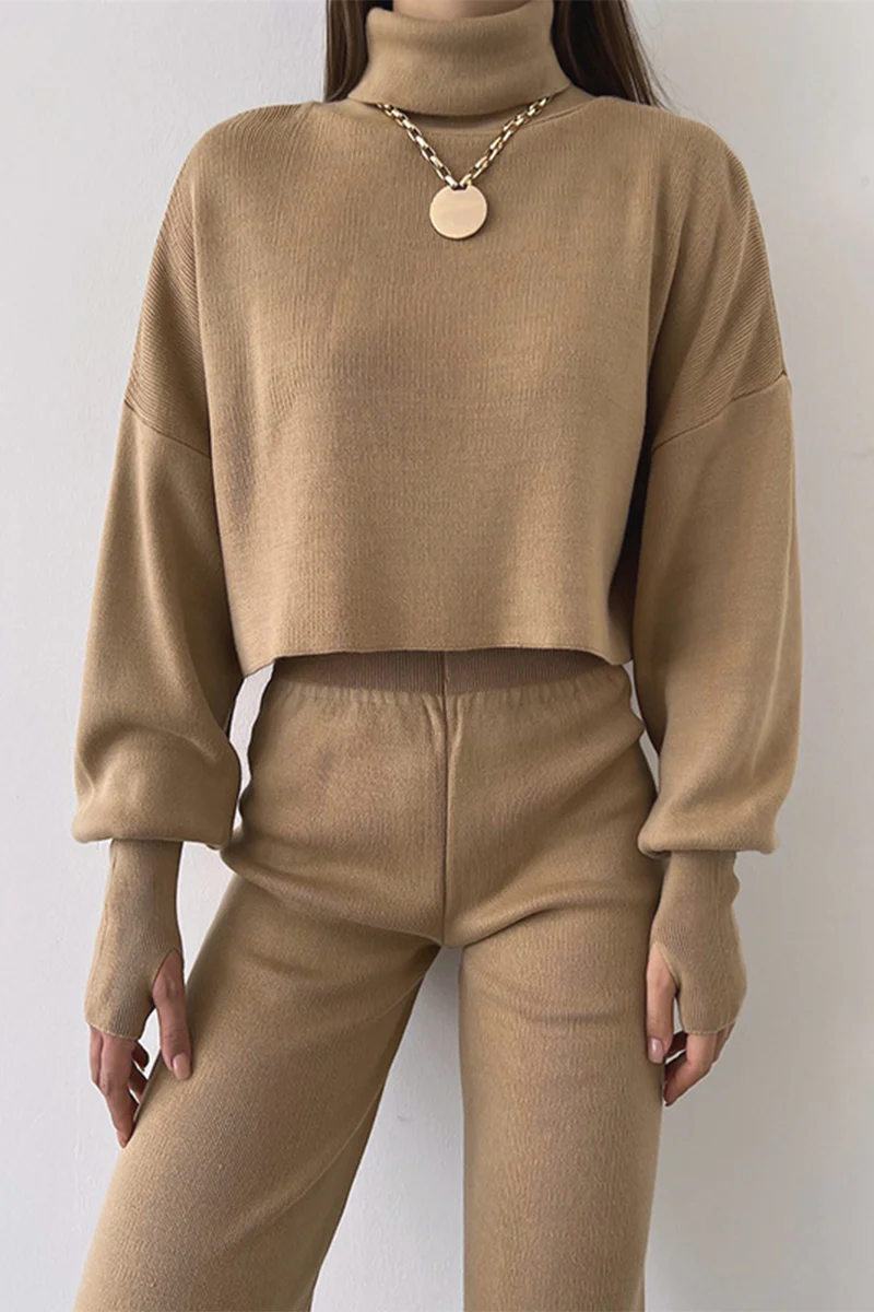 Casual Solid Solid Color Turtleneck Long Sleeve Two Pieces(5 Colors) - Deanwangkt