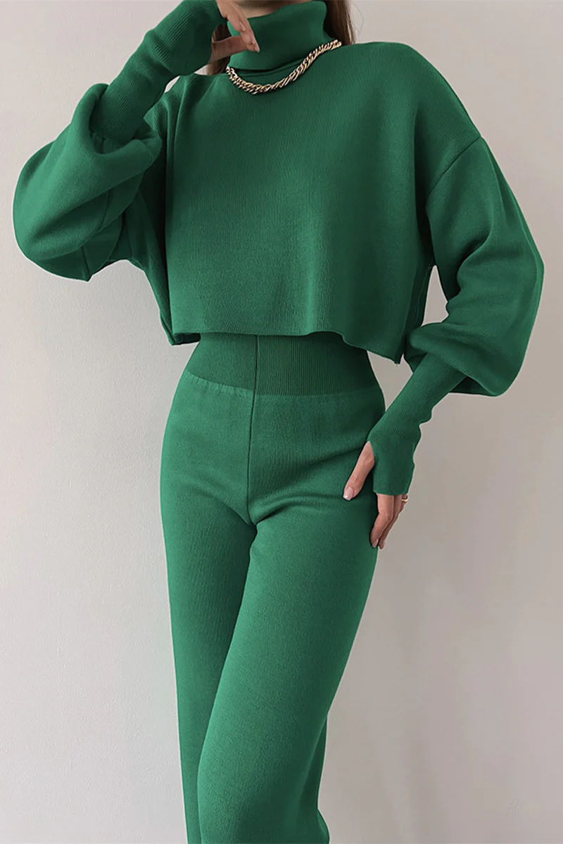 Casual Solid Solid Color Turtleneck Long Sleeve Two Pieces(5 Colors) - Deanwangkt