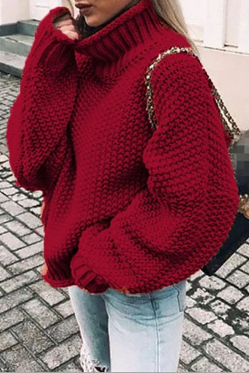 Fashion Casual Solid Patchwork Turtleneck Sweaters(14 Colors) - Deanwangkt
