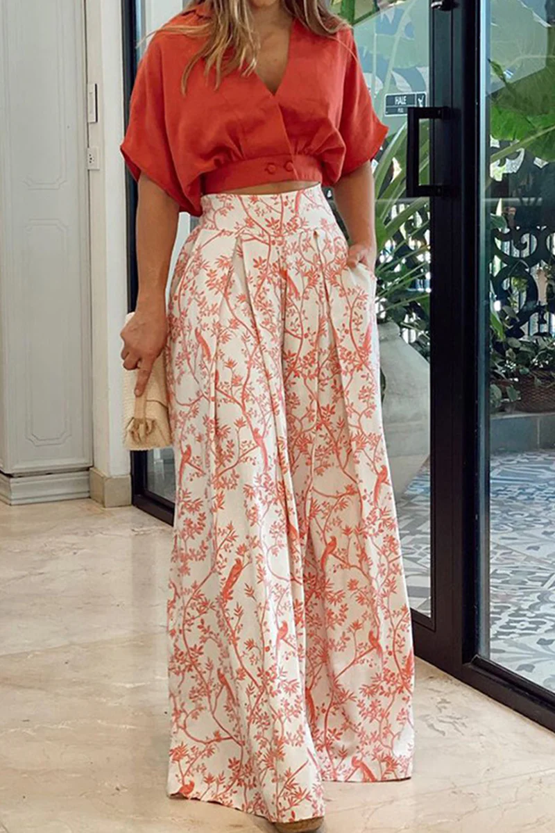 Fashion Print V Neck Short Sleeve Two Pieces(4 colors) - Deanwangkt