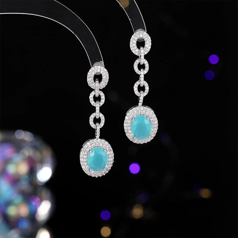 2025 New earrings light luxury high-end zircon earrings temperament S925 silver needle exquisite luxury long earrings - Deanwangkt