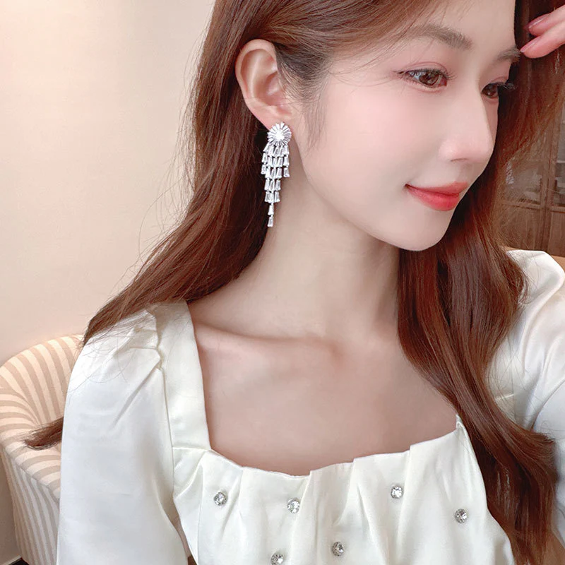 2025 High-end niche earrings  personalized fashion  elegant earrings 925 silver needle long fringed earrings women - Deanwangkt