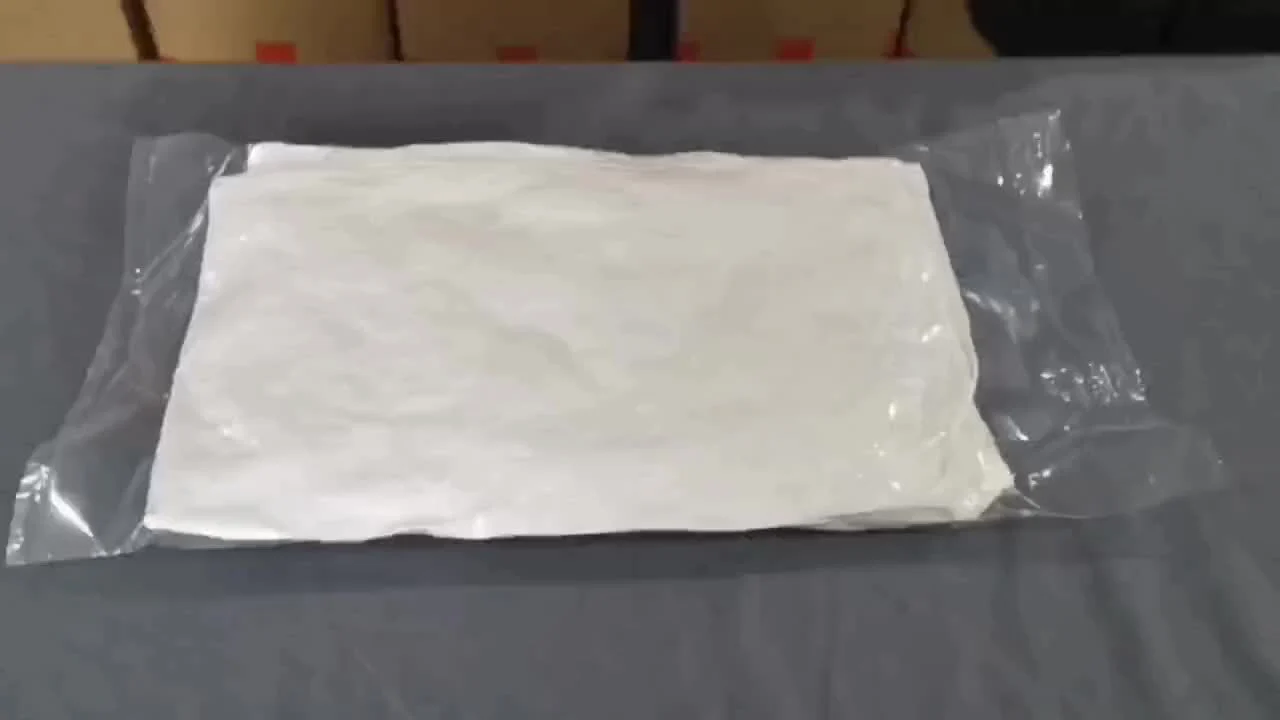 1pc Premium Feather Down Pillow 20x26 Inches, Classic Style Hotel Quality Bedding For Guesthouse B&B Home, Ultra Comfort Cloud-Like Sleep OEKO Standard - Deanwangkt