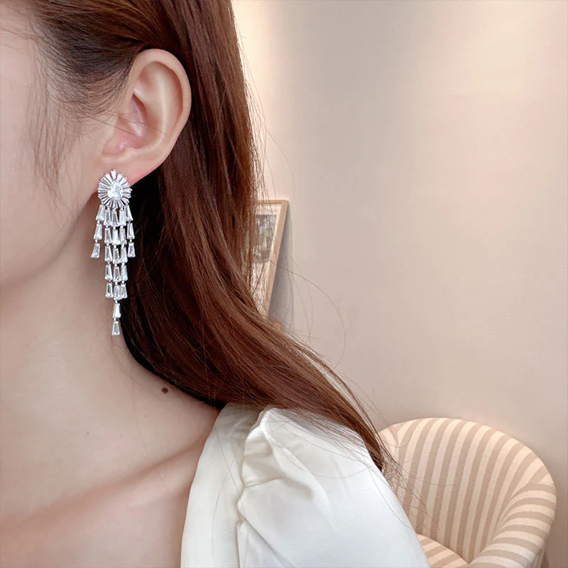 2025 High-end niche earrings  personalized fashion  elegant earrings 925 silver needle long fringed earrings women - Deanwangkt