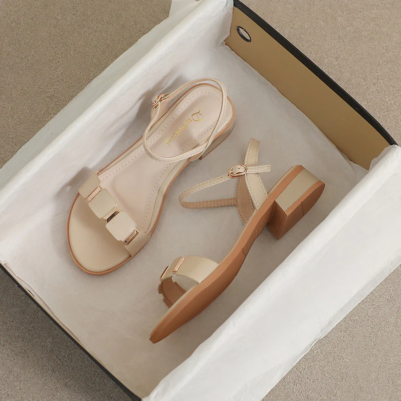 DEANWANGKT  Women's One-Strap Sandals Summer  This Year's New Fairy Style Mid Heel Chunky Heel Dress Gentle Student Roman Shoes - Deanwangkt