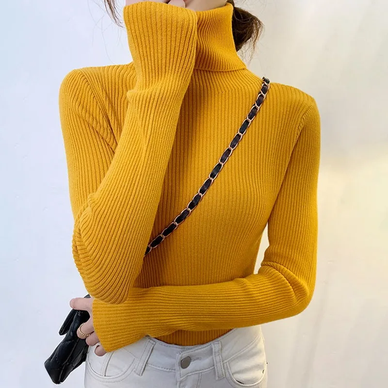 deanwangkt New Knitting Pullover Sweater Long Sleeve Bottom Shirt Slim Turtleneck Sweaters Autumn Winter Soft Blouse Jumpers For Women - Deanwangkt