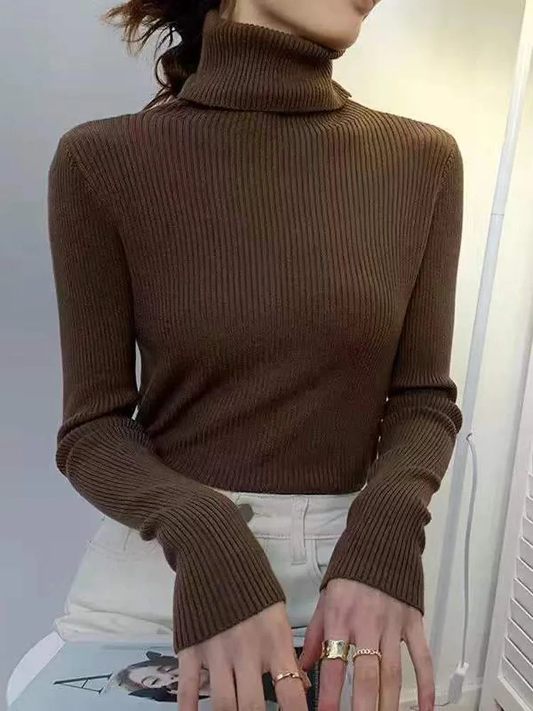 deanwangkt New Women Pullover Turtleneck Sweater Autumn Long Sleeve Slim Elastic Korean Simple Basic Cheap Jumper Solid Color Top - Deanwangkt