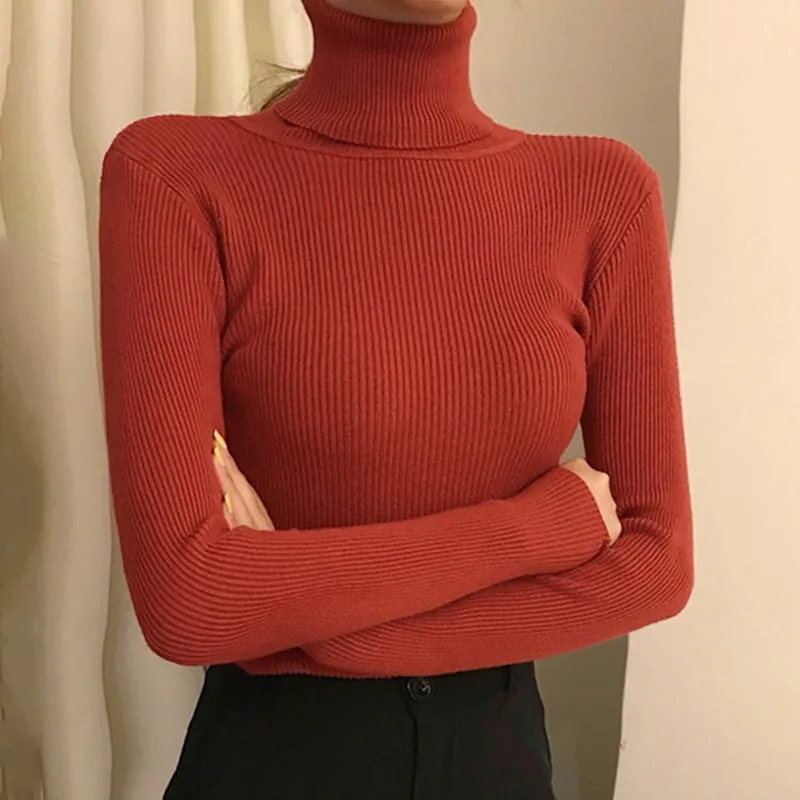 deanwangkt New Knitting Pullover Sweater Long Sleeve Bottom Shirt Slim Turtleneck Sweaters Autumn Winter Soft Blouse Jumpers For Women - Deanwangkt