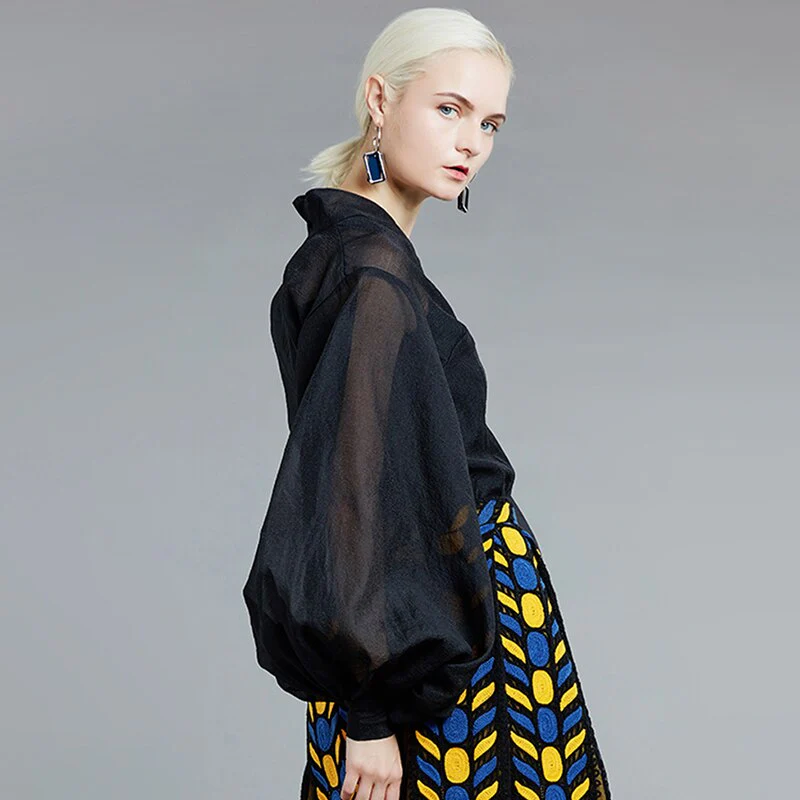 deanwangkt See Through Black Blouse For Women Stand Collar Lantern Long Sleeve Casual Loose Shirt Female Fashion New Spring - Deanwangkt