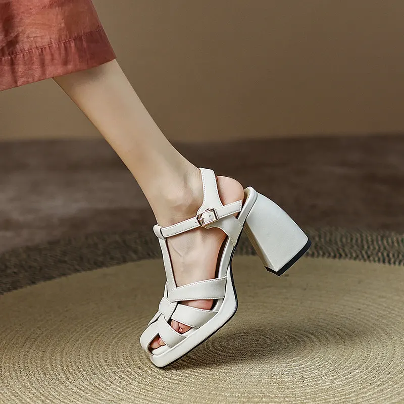 deanwangkt Women Sandals Sexy High Heels Buckle Ankle Strap Women Shoes Thick Heels Platform Fashion Summer Female Pumps New Sandals - Deanwangkt