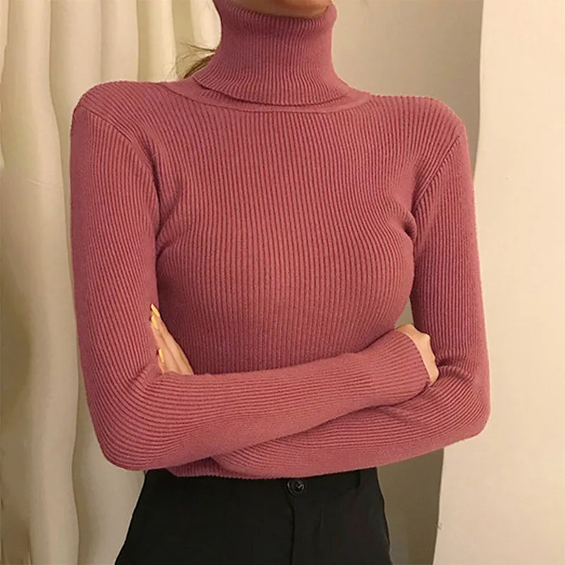 deanwangkt New Knitting Pullover Sweater Long Sleeve Bottom Shirt Slim Turtleneck Sweaters Autumn Winter Soft Blouse Jumpers For Women - Deanwangkt
