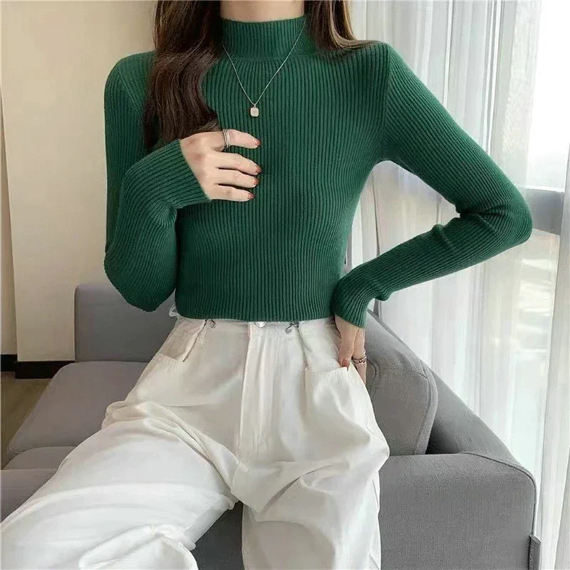 deanwangkt New Knitting Pullover Sweater Long Sleeve Bottom Shirt Slim Turtleneck Sweaters Autumn Winter Soft Blouse Jumpers For Women - Deanwangkt