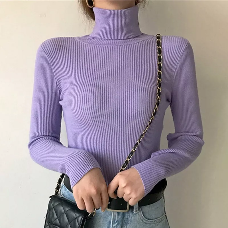 deanwangkt New Knitting Pullover Sweater Long Sleeve Bottom Shirt Slim Turtleneck Sweaters Autumn Winter Soft Blouse Jumpers For Women - Deanwangkt