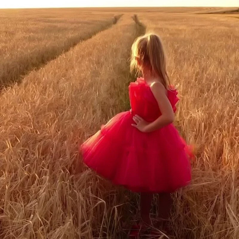 deanwangkt  Baby Clothes for Girls Toddler Kids Wedding Princess Gown Girl Elegant Birthday Dress Tulle Bridesmaid Evening Party Dresses - Deanwangkt