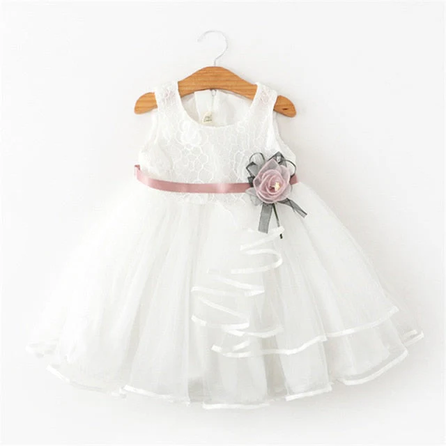 Flower Newborn Baby Dress New Summer Cute Baby Girls Clothes Tulle Lace Infant XMAS Party Clothing 1 Year Birthday Dress - Deanwangkt