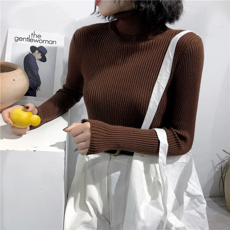 Christmas Gift Deanwangkt Autumn New Slim Long Sleeve Jumper Women Turtleneck Knitted Pullover Winter Sweater Women Soft Warm Sweater Pull Femme 6897 - Deanwangkt