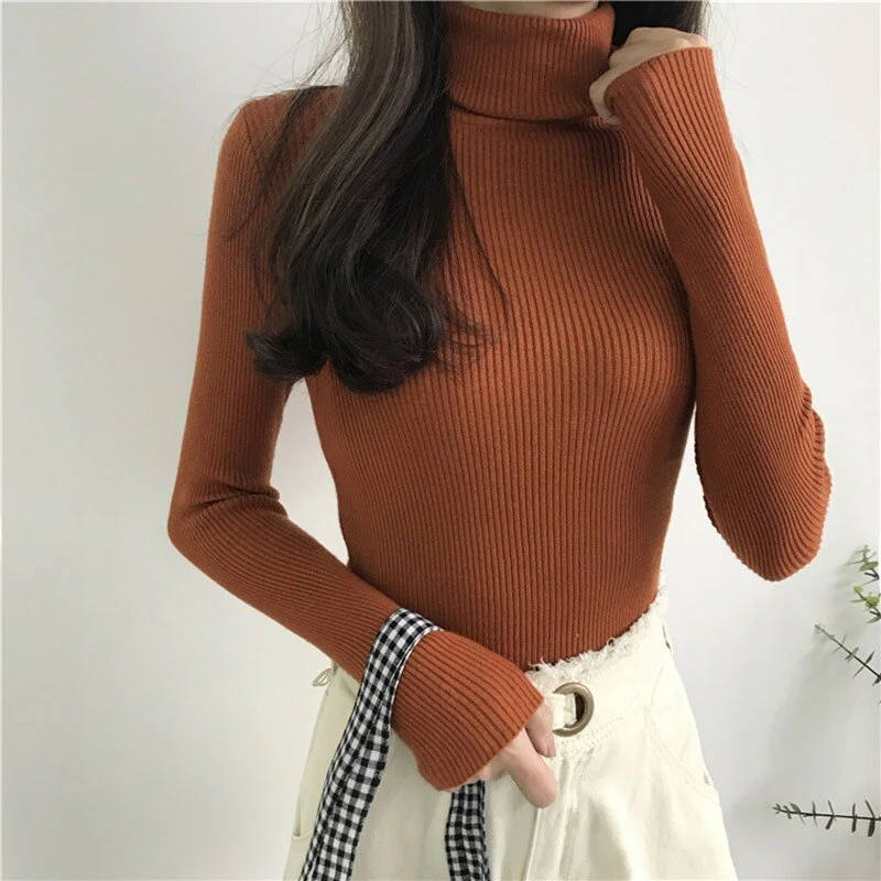 Christmas Gift Deanwangkt Autumn New Slim Long Sleeve Jumper Women Turtleneck Knitted Pullover Winter Sweater Women Soft Warm Sweater Pull Femme 6897 - Deanwangkt