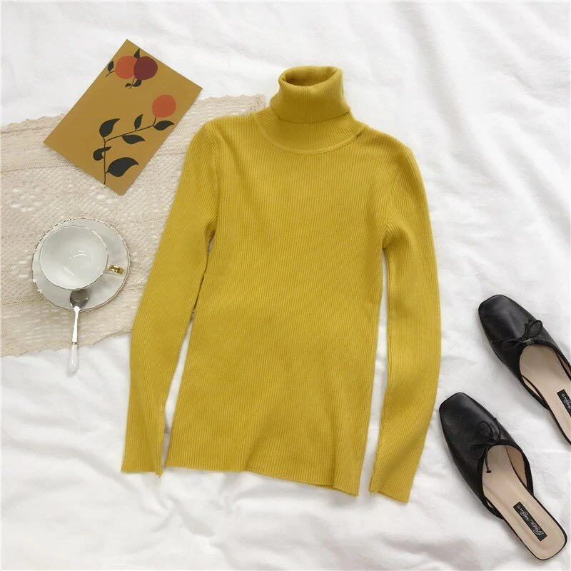 Christmas Gift Deanwangkt Autumn New Slim Long Sleeve Jumper Women Turtleneck Knitted Pullover Winter Sweater Women Soft Warm Sweater Pull Femme 6897 - Deanwangkt