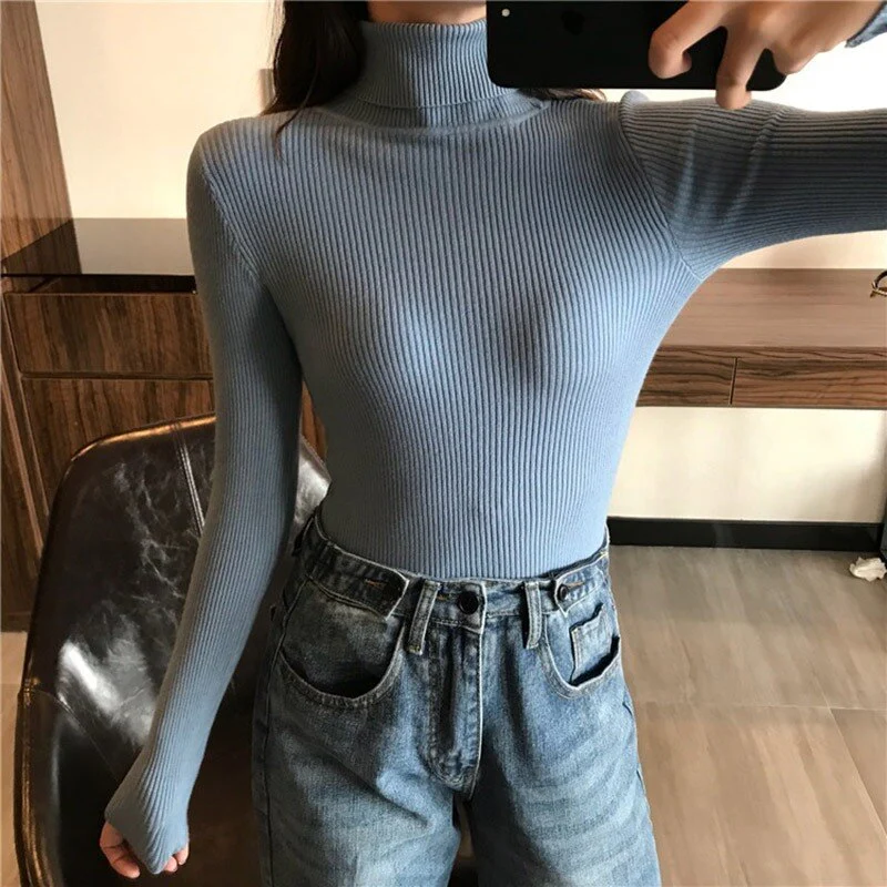 Christmas Gift Deanwangkt Autumn New Slim Long Sleeve Jumper Women Turtleneck Knitted Pullover Winter Sweater Women Soft Warm Sweater Pull Femme 6897 - Deanwangkt